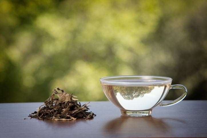 Estos son los beneficios del té blanco para la salud