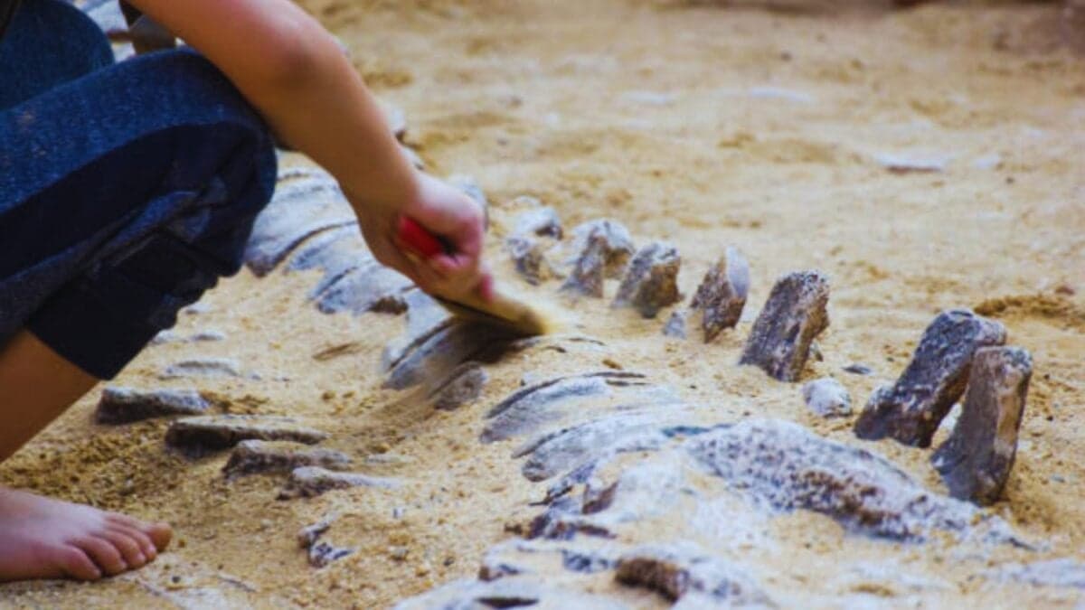 Un fósil hallado obliga a reescribir la historia de los dinosaurios: Así era la inesperada jerarquía de depredadores