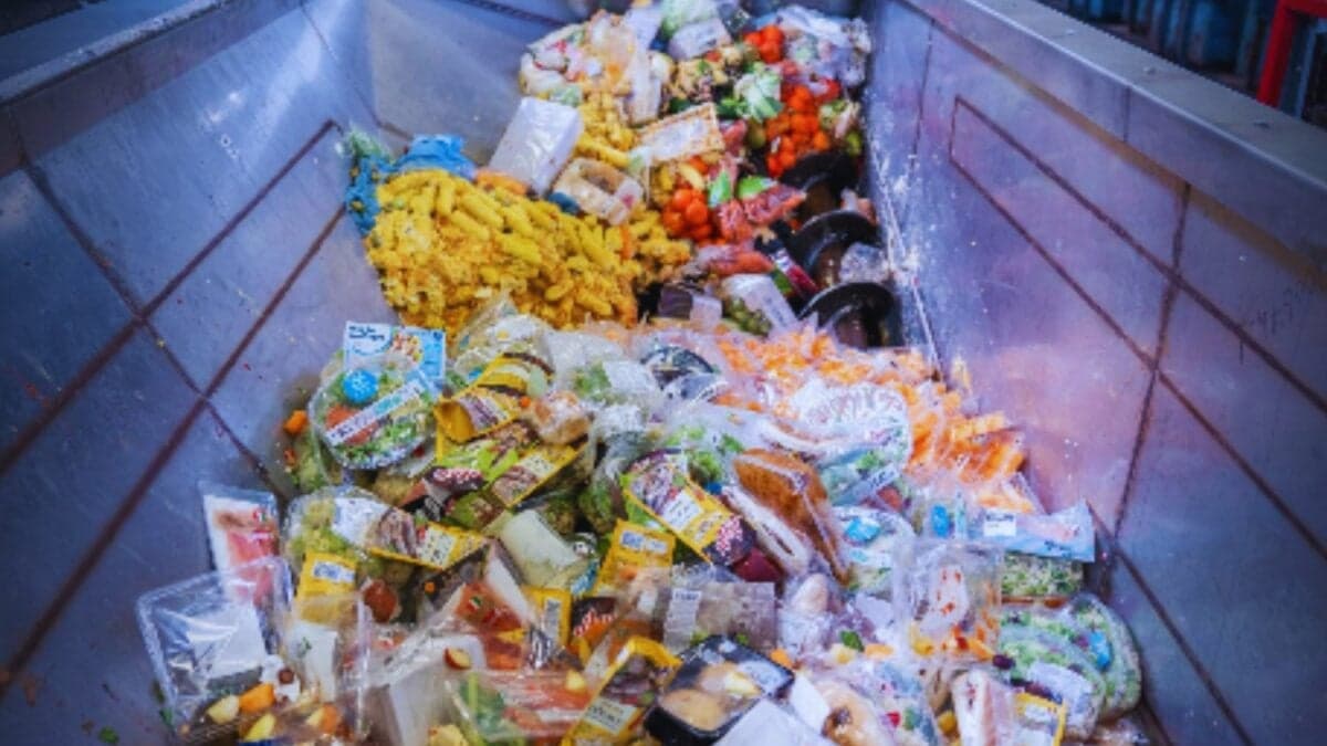 Los residuos parecían un problema eterno: Una innovación francesa demostró que pueden ser el inicio de otra economía