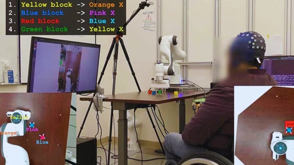 Mover un brazo con la mente ya no requiere abrir el cráneo: Un gorro y la IA lo han hecho posible