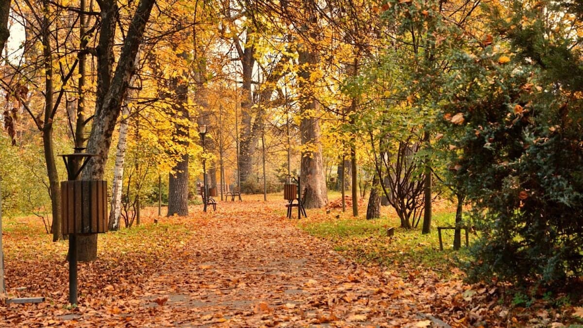 Cuando la tecnología cuida de la naturaleza: la sorprendente ayuda de la IA en los parques urbanos