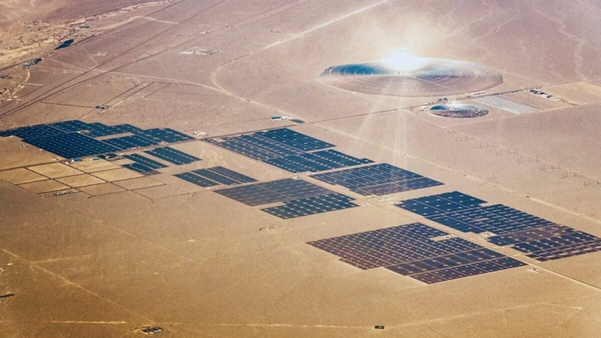 China pensó que tan solo obtendría electricidad. Pero al azotar un desierto con paneles solares, creó algo que ellos ni nadie esperaba: Un nuevo ecosistema