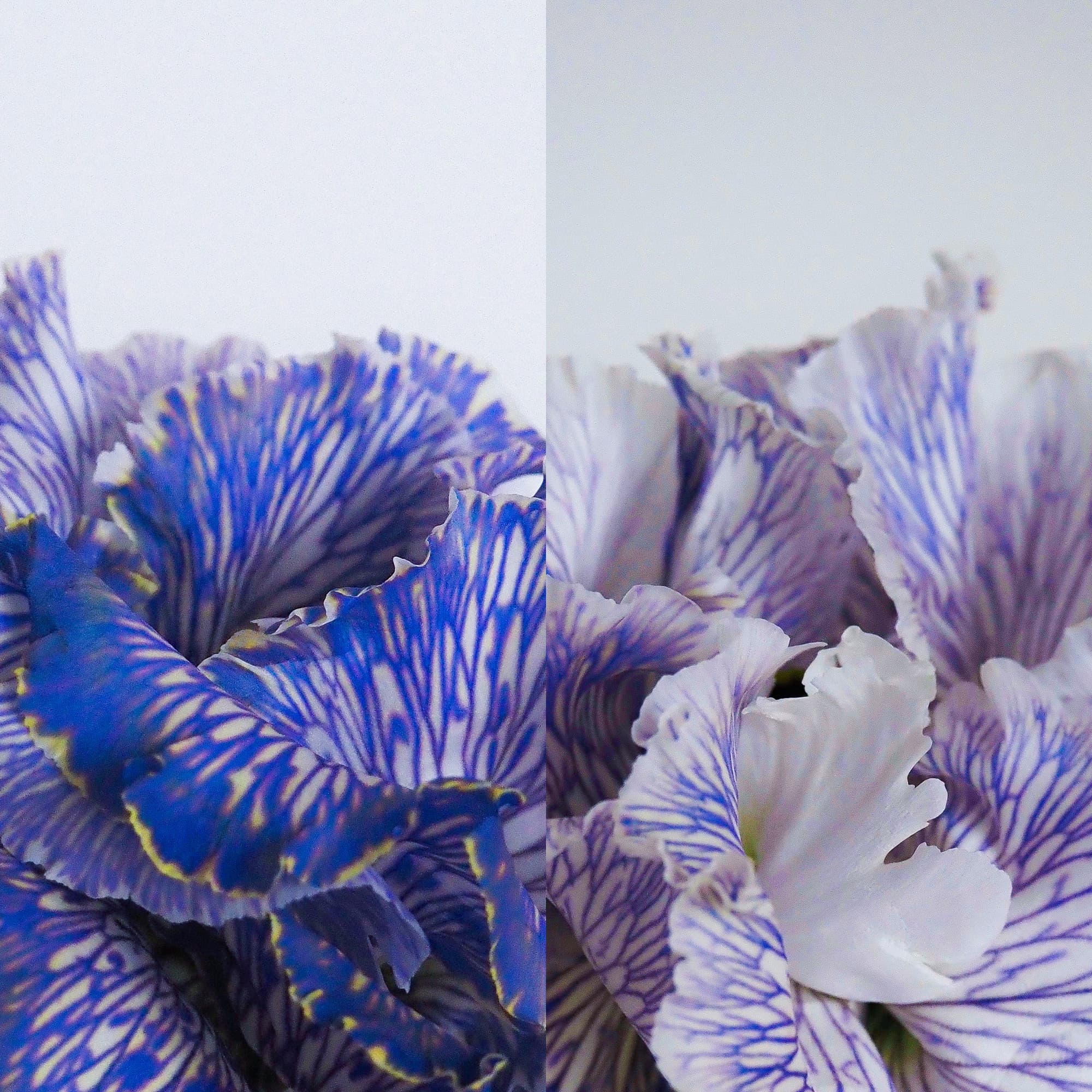 Be Vol.5: Un viaje emocional para celebrar cinco años de independencia sonora