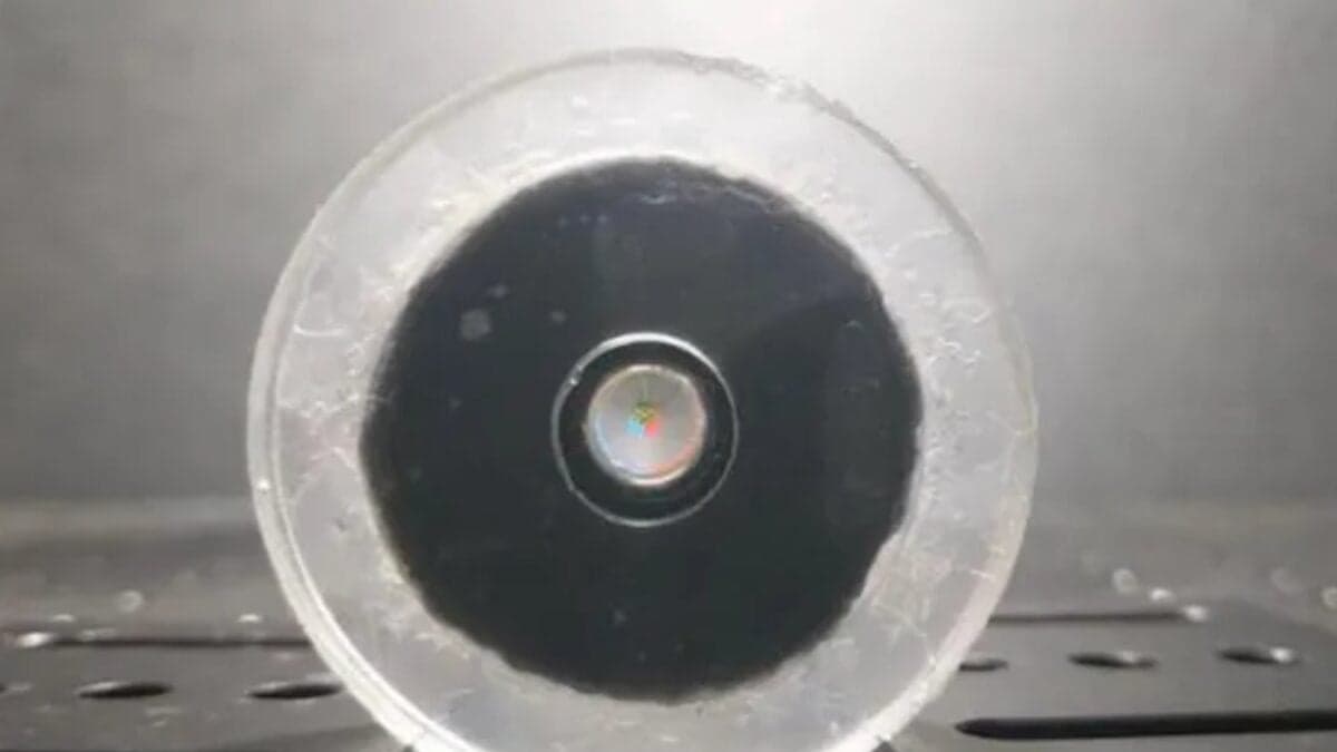 Un ojo artificial que ve sin electricidad: El invento que podría cambiar la forma en que los robots perciben el mundo