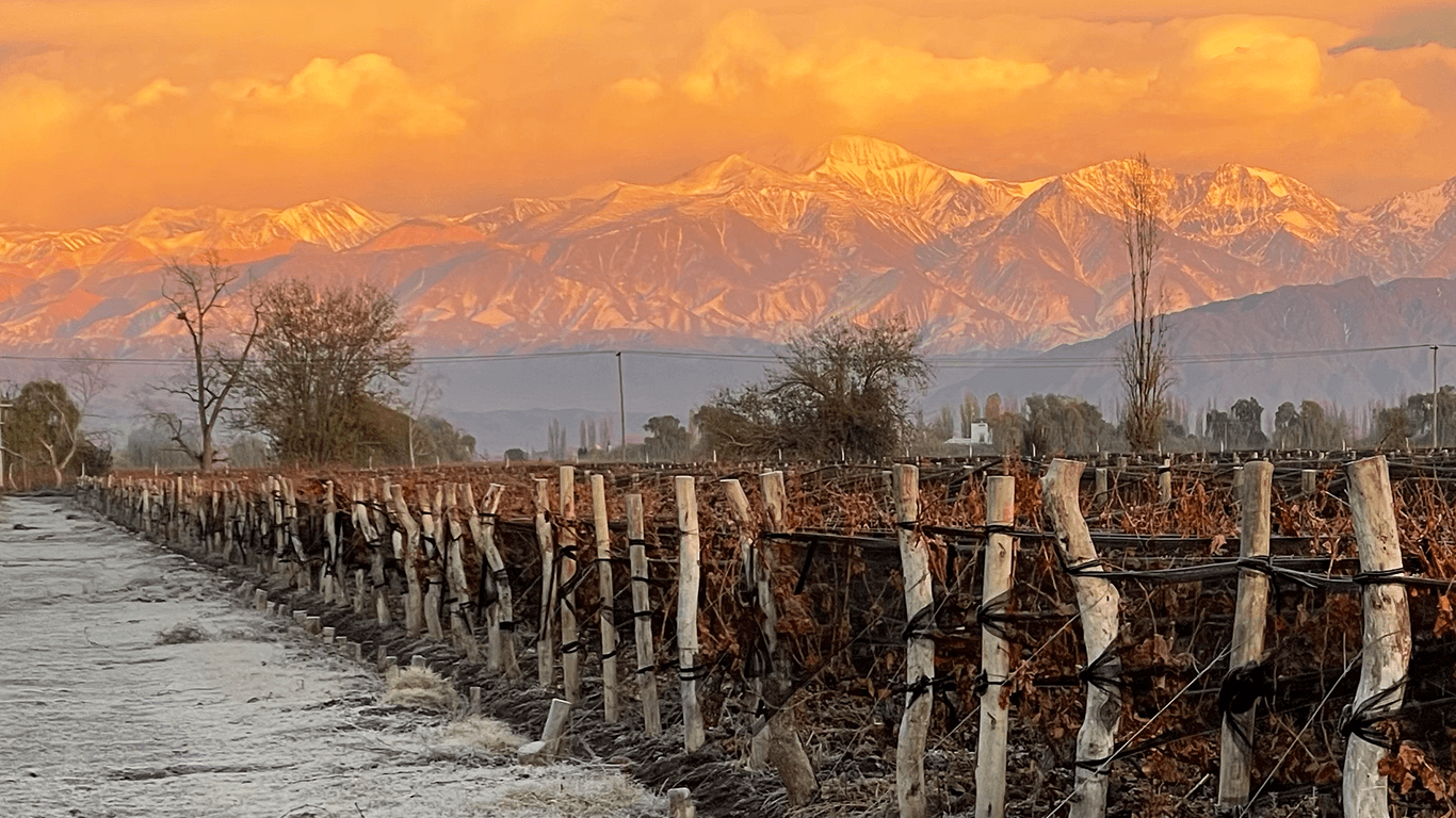 Sunset Vibes vuelve a Mendoza con dos sunsets imperdibles de progressive house