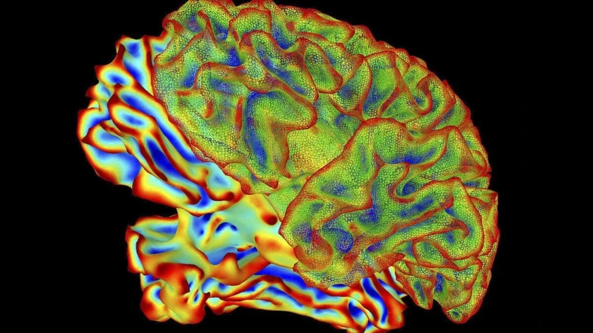 Ya no es telepatía ni ciencia ficción. Una IA logra “leer” la mente y escribir lo que una persona ve, recuerda o imagina