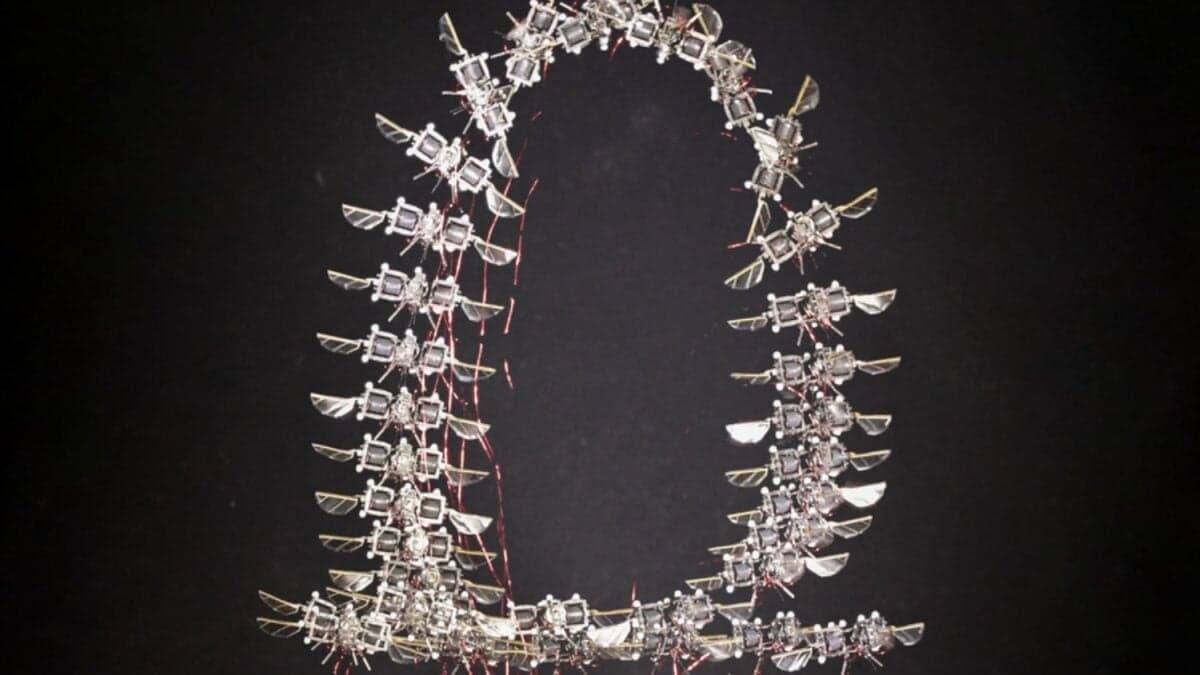 Un robot del tamaño de un insecto está aprendiendo a volar como uno. El MIT crea un microrrobot aéreo capaz de hacer volteretas, acelerar como un abejorro y mantener el control en turbulencias extremas