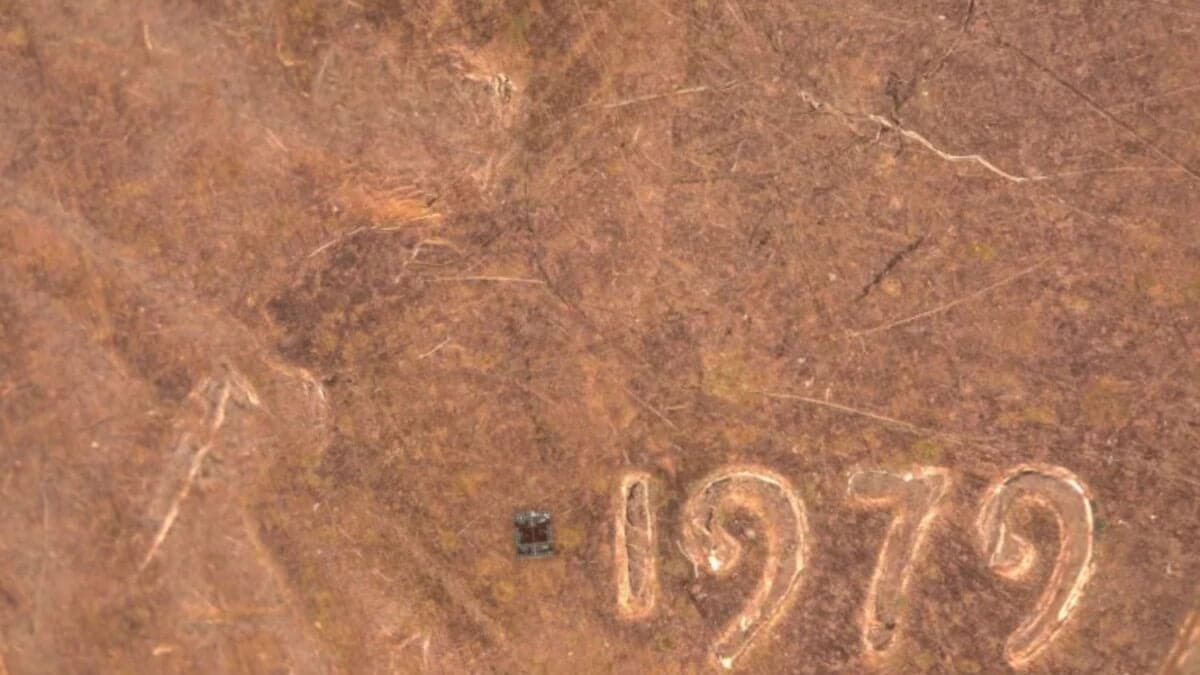 Más pequeños que un grano de sal y con “cerebro” propio. Así son los robots microscópicos que ya toman decisiones solos