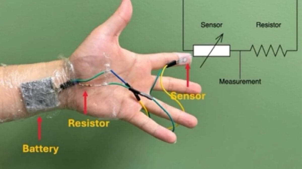 La electrónica por fin tiene una salida limpia: crean una batería que se inspira en los limones, se estira un 80% y desaparece del todo en semanas
