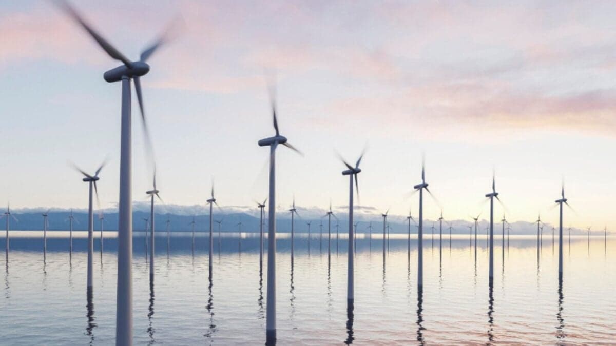 Cuando el viento no alcanza para todos: la guerra silenciosa de la eólica marina en el norte de Europa