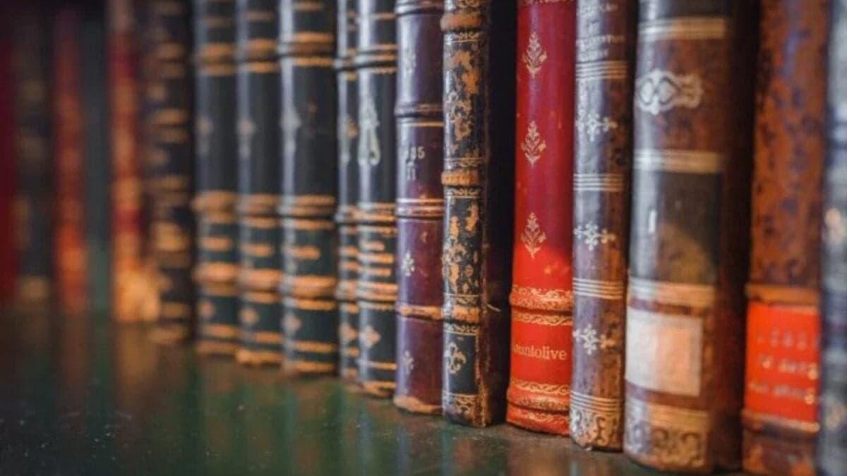 Los bibliotecarios no te están ocultando libros secretos que solo conoce la IA, sino que es posible que la IA esté inventando referencias inexistentes