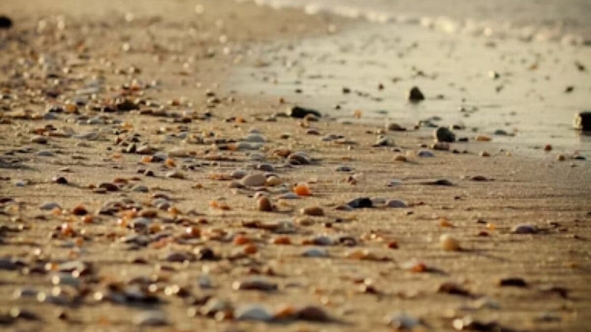 El material que sostiene nuestras ciudades se ha convertido en un problema global. Y la solución acaba de aparecer en el lugar más inesperado: la orilla del mar