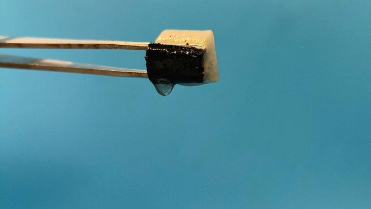 Un cubo de madera podría reescribir la historia del agua potable. Científicos logran generar agua a partir del aire sin electricidad ni tecnología compleja