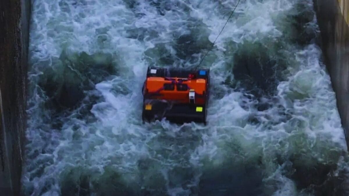 Han creado un ingenioso generador que transforma las olas en electricidad. Así funciona la máquina que puede cambiar la energía marina para siempre