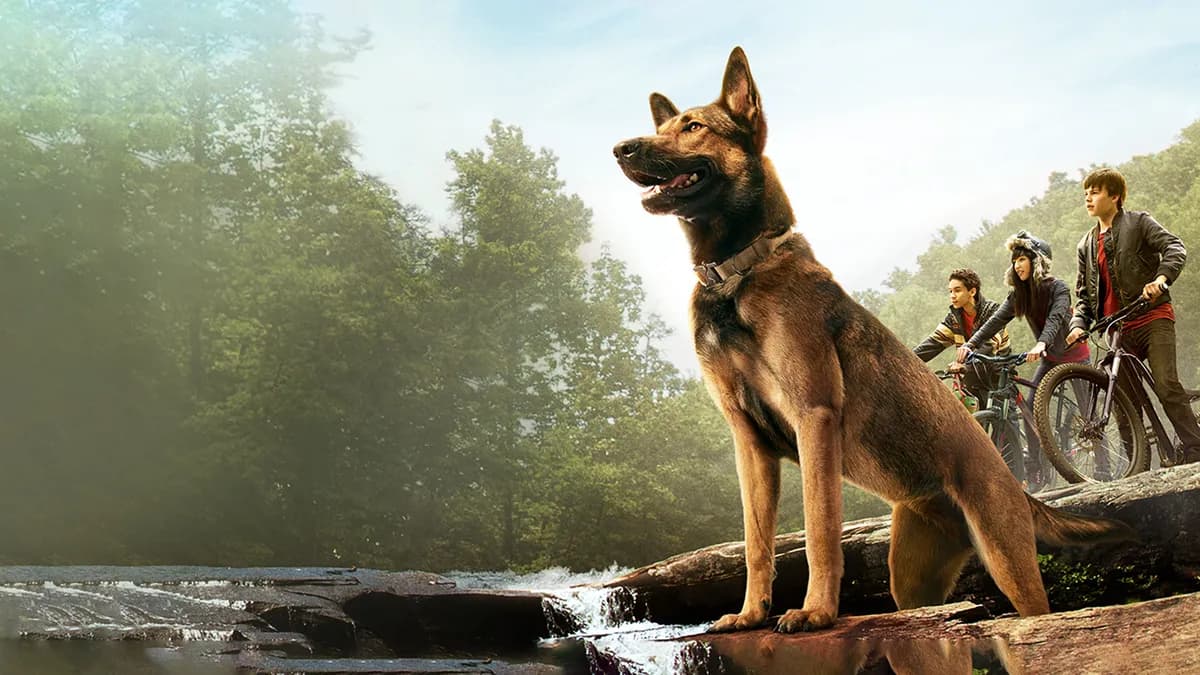 Esta película emocionó a todos en 2015 y ahora llegó a Netflix: ya está entre lo más visto