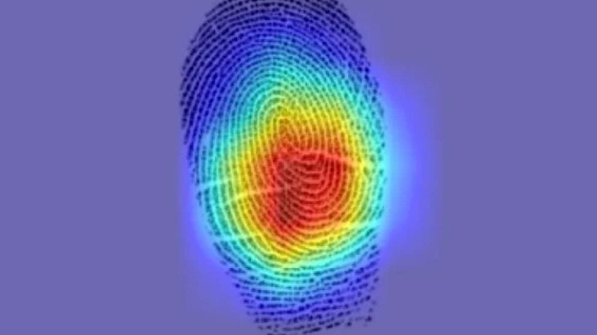 Atacantes intentaron “clonar” Gemini con más de 100.000 preguntas. Google advierte que los grandes modelos de IA ya son un objetivo industrial