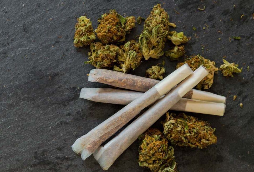 Sudáfrica estudia permitir la posesión de hasta 750 gramos de cannabis por persona
