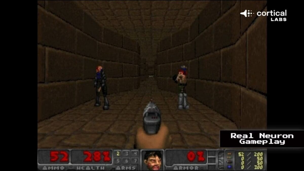Primero lograron que neuronas humanas jugaran a Pong. Ahora una computadora biológica ha conseguido algo mucho más ambicioso: jugar a Doom