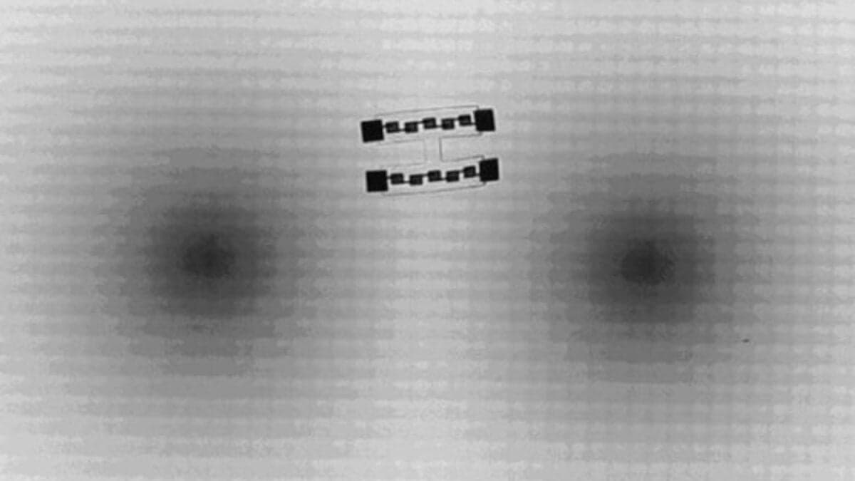 Un robot microscópico resolvió un laberinto sin sensores, sin GPS y sin inteligencia artificial. Los científicos lo guiaron usando principios de la relatividad de Einstein