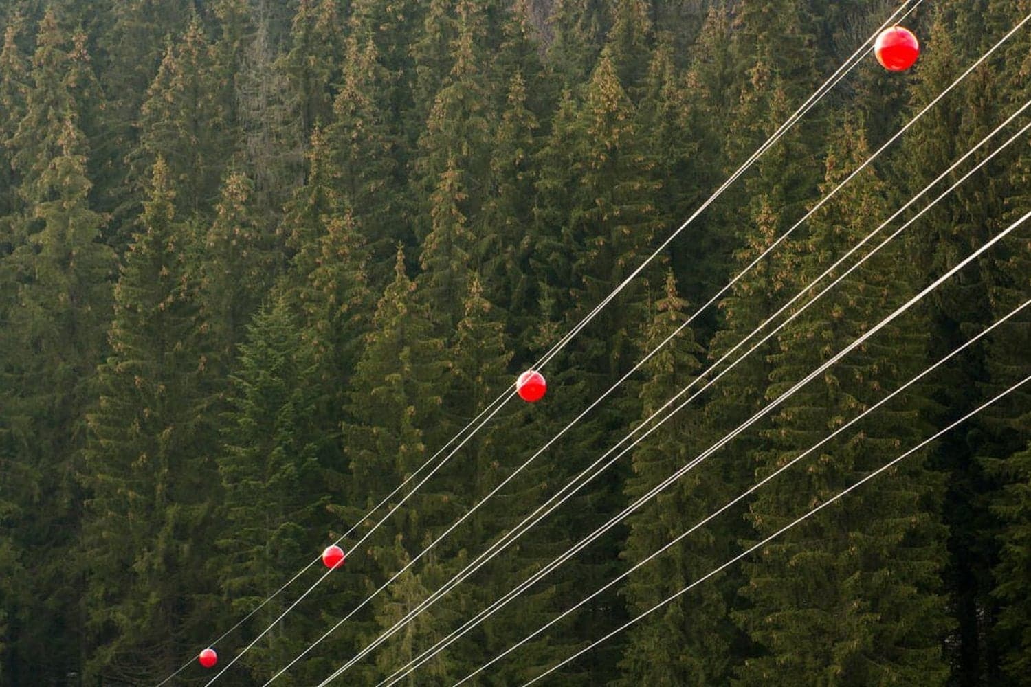 ¿Alguna vez te preguntaste para qué son las bolas rojas en los cables de alta tensión? Su función es vital para prevenir accidentes aéreos