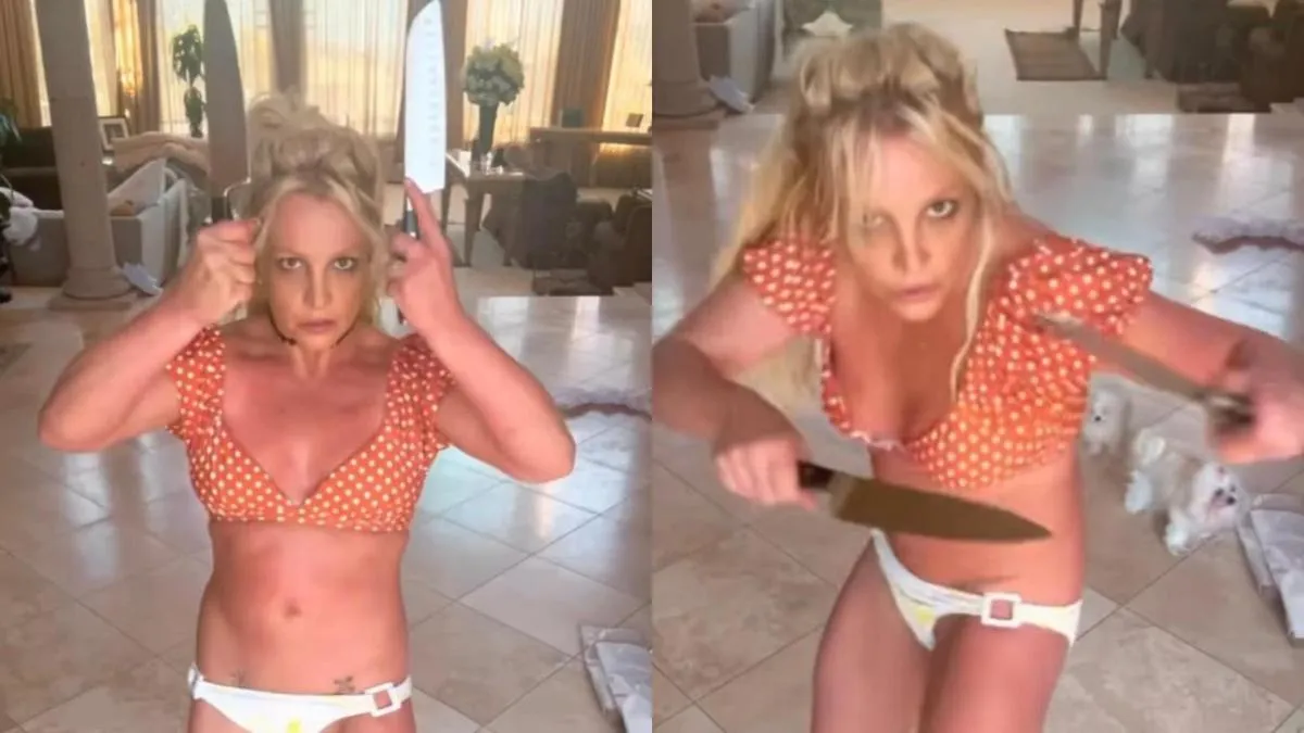 Arrestaron a Britney Spears en California: qué le pasó