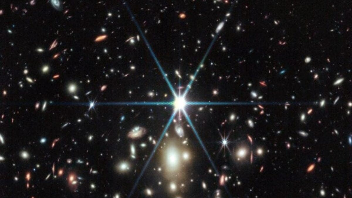 Es una estrella famosa, pero impostora