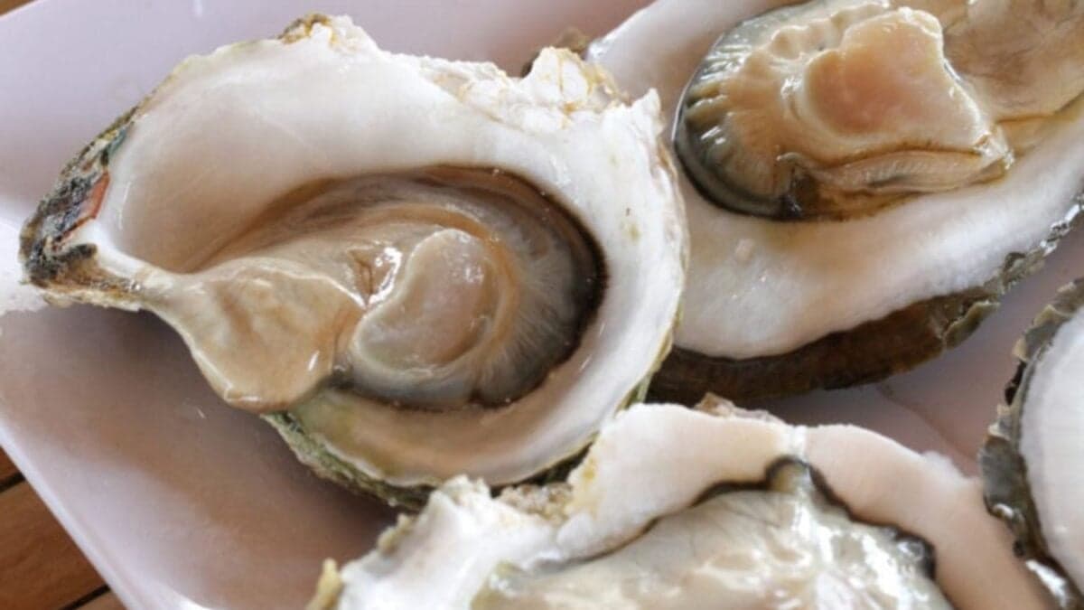 Mueren al menos 2 personas por comer ostras contaminadas por la bacteria “come carne”