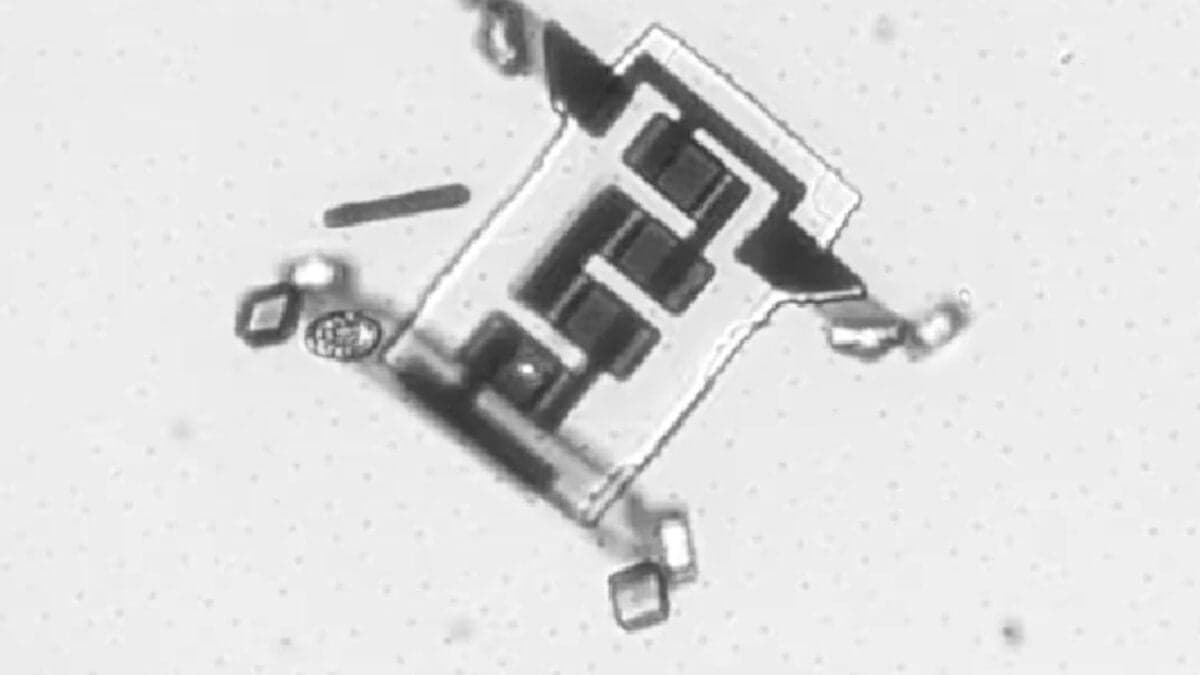 Los robots casi invisibles que ya pueden moverse, pensar y actuar solos