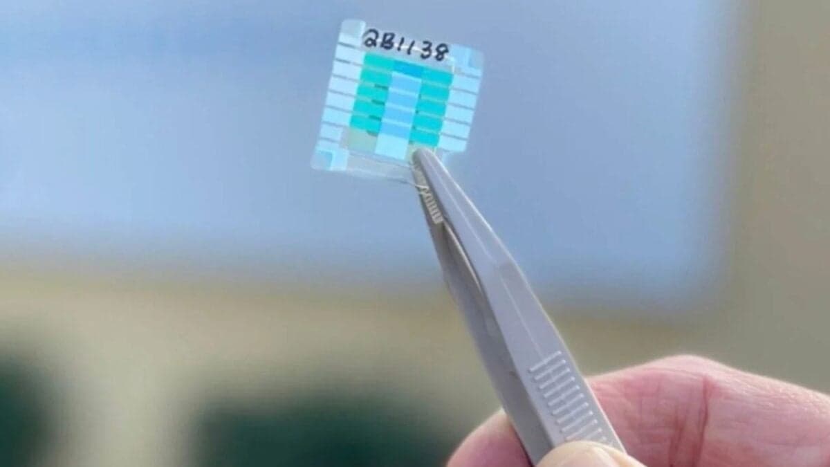 La batería del futuro ya existe: es cuántica, se carga más rápido y rompe todas las reglas conocidas hasta ahora